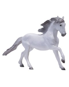 Лузитанская лошадь белая Konik