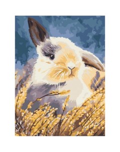Картина по номерам на холсте Кролик 30 х 40 см с акриловыми красками и кистями Три совы