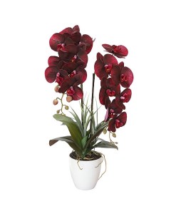 Растение искусственное Орхидея бордовая в горшке Garda decor
