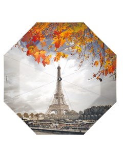 Зонт женский Bonjour Paris 231206 серый Flioraj