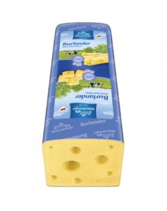 Сыр полутвердый Маасдам 45 кг Oldenburger
