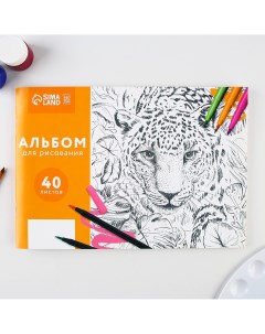 Альбом для рисования на скрепке 40 листов Artfox study