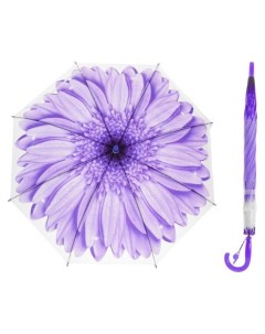 Зонт трость Гербера полуавтоматический со свистком R 41см цвет фиолетовый Nnb