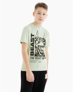 Оливковая футболка с собакой и надписями для мальчика Gloria jeans