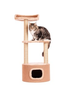 Дом когтеточка для кошек круглый с лежанкой и игрушкой бежевый 51х51х123 см Домоседы