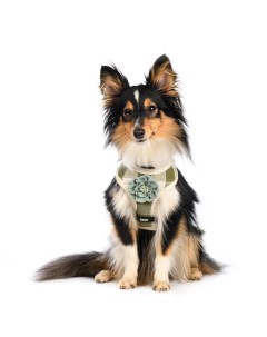 Шлейка M для собак зеленая с цветочком Rurri