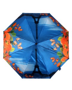 Зонт женский 231218 FJ синий Flioraj