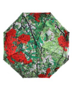 Зонт женский 231213 FJ зеленый Flioraj