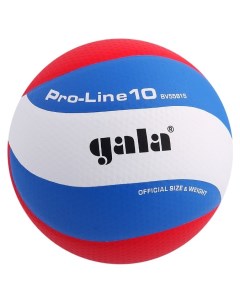 Мяч волейбольный Pro line10 размер 5 Gala