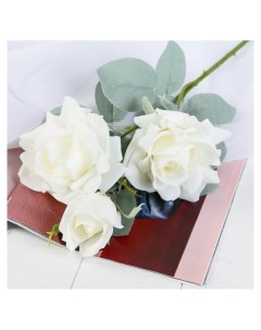 Цветы искусственные Роза терция 12х60 см белый Nnb