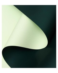 Пленка матовая фисташковый темно зеленый 0 58 х 10 м Nnb