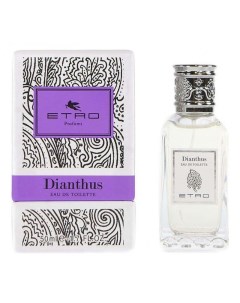 Dianthus Etro
