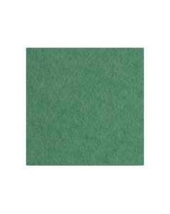 Бумага для акварели лист 200 г Зеленый А4 Лилия холдинг