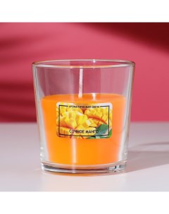 Ароматическая свеча Сочное манго 8 5 см Сима-ленд