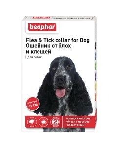 Ошейник для собак и щенков старше 6 месяцев от блох и клещей красный 65 см Beaphar