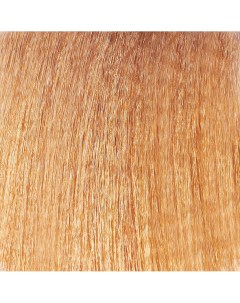 8 3 крем краска стойкая для волос светлый блонд золотистый Optica Hair Color Cream Light Golden Blon Paul rivera