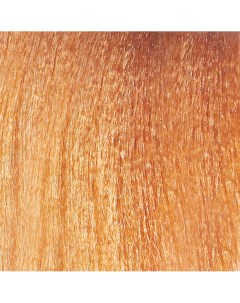 8 34 крем краска стойкая для волос светлый блонд медно золотистый Optica Hair Color Cream Light Copp Paul rivera