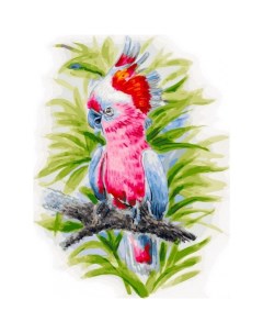 Картина по номерам на холсте Розовый попугай 40х30 см Белоснежка
