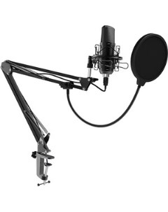 Настольный микрофон для записи голоса и вокала RDM 169 USB Ritmix
