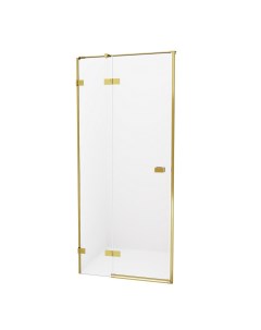 Душевая дверь Avexa Gold EXK 1726 New trendy