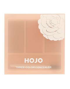 Консилер для лица THREE COLOR CONCEALER тон 02 Hojo