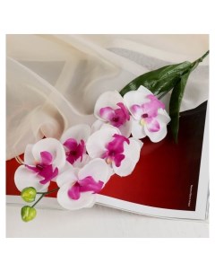 Цветы искусственные Орхидея пышность 60 см белый Nnb