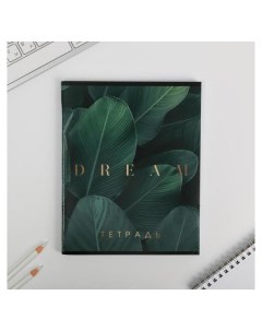 Тетрадь А5 96 листов на скрепке Dream Artfox