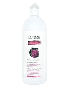 Шампунь Bivalent Shampoo Бивалентный для Жирной Кожи Головы и Сухих Кончиков 1000 мл Luxor professional