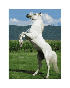 Картина по номерам с цветной схемой на холсте Белый конь 40х30 см Molly