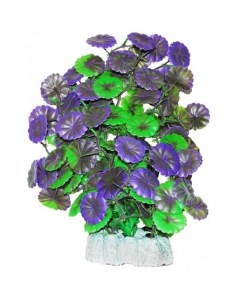 Растение акваримуное Щитолистник зелено фиолетовый 24 см Уют