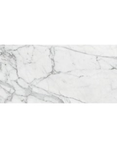 Керамогранит Marble Trend Carrara K 1000 LR 30х60 см Kerranova