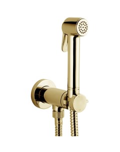 Гигиенический душ со смесителем Paloma Brass E37005B 021 Золото Bossini