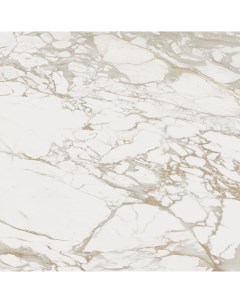 Керамогранит Massa Brillo 59 6х59 6 см Porcelanosa