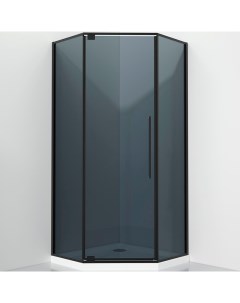 Душевой уголок Stellar Wind S815 BG 100x100 8151000G профиль Черный матовый стекло серое Black&white