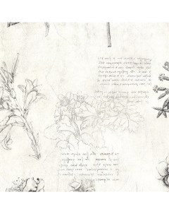 Обои Leonardo AD1 23004 Винил на флизелине 0 7 10 05 Белый Черный Надписи Цветы Jv licenze