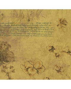 Обои Leonardo AD1 23000 Винил на флизелине 0 7 10 05 Желтый Надписи Цветы Jv licenze