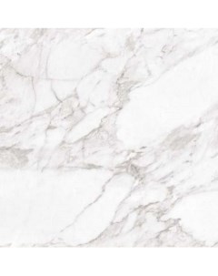 Керамогранит Carrara White Shine 60x60 см Argenta