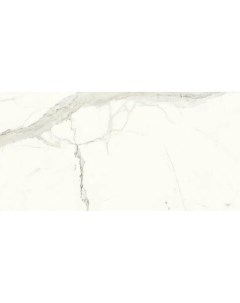 Керамогранит Marmi Classici Bianco Calacatta luc rett PL612527 60x120 см Ariostea