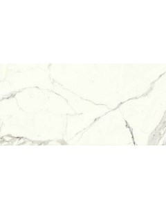 Керамогранит Marmi Classici Bianco Calacatta soft rett P612527 60x120 см Ariostea