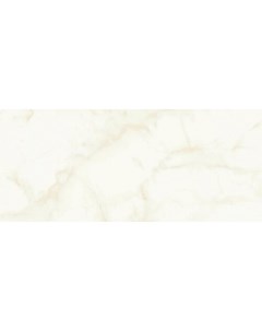 Керамическая плитка Marvel Shine Calacatta Delicato Silk A4TT настенная 50х120 см Atlas concorde