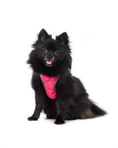 Шлейка с отражающей лентой для собак XL розовая Rurri