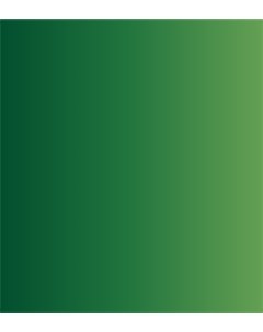 Акварель ShinHanart PWC extra fine 15 мл 569 Кадмий зеленый Shinhan art international inc.