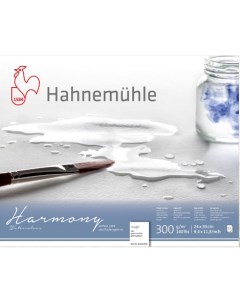 Альбом склейка для акварели Hahnemuhle Harmony 21х29 7 см 300 г 12 л крупное зерно целлюлоза 100 Hahnemuhle fineart