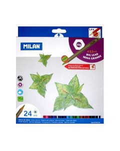 Набор карандашей цветных Big Lead 24 цв в картонной упаковке Milan