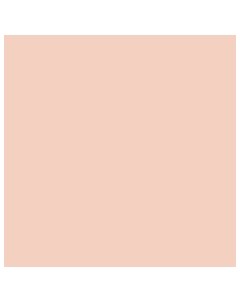 Маркер спиртовой PROMARKER цв O618 розовый телесный Winsor & newton