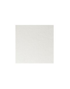 Бумага для пастели COLOURS 29 7x42 см 160 г белый Лана