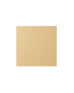Бумага для пастели COLOURS 50x65 см 160 г песочный Лана