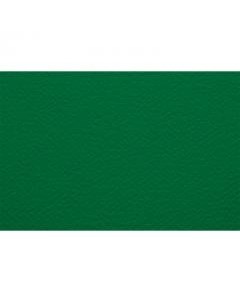 Бумага для пастели Тiziano 21x29 7 см 160 г 12 зеленый Fabriano
