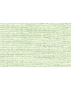 Бумага для пастели Палаццо 70x100 см 160 г незрелая фисташка Лилия холдинг