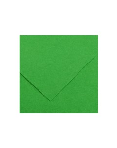 Бумага тонированная Iris Vivaldi 50х65 см 120 г 29 зеленый Canson